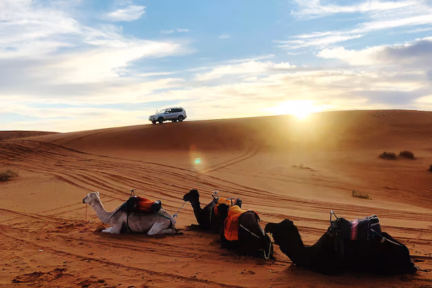 Desert Safari Adventures